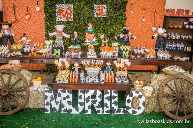 Festa Fazendinha!!!
