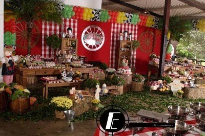 Festa da Fazendinha!!!